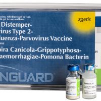 Nobivac DHPPI Vaccine