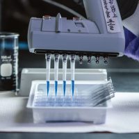 Rabies AB titre test ( Europe )