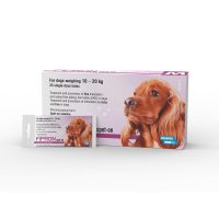 Fipron for Medium Dogs 10 - 20 KG