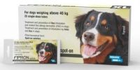 Fipron XL Dogs >40 Kg | فيبرون كلاب كبيرة جداً