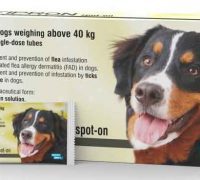 Fipron XL Dogs >40 Kg | فيبرون كلاب كبيرة جداً
