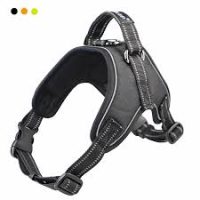 صدرية كلاب مقاس دبل اكس | Sports dog harness set XXL