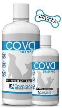 كوفا شامبو مضاد الفطريات | Cova Shampoo Anti Fungal - Anti Bactrial 250ml