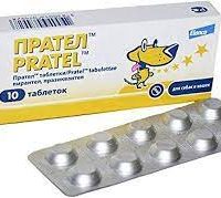 Pratel Deworming Tablet for Dogs and Cats