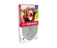 Advantix Large Dogs Over 25Kg