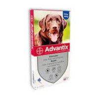 Advantix Large Dogs Over 25Kg