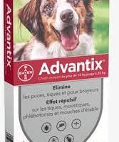 Advantix Medium Dogs 10-25 KG