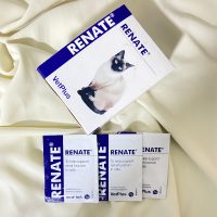 Renate | رينيت