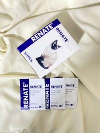 Renate | رينيت