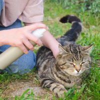 Anti Fleas & Ticks